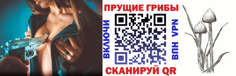 Псилоцибиновые грибы Psilocybe  кракен вход  Энем  цена наркотик 
